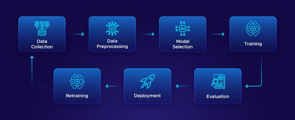 AI model training process explained