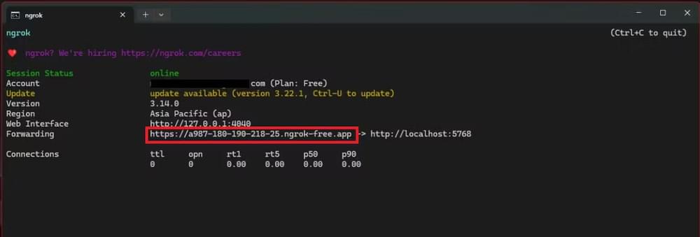Screenshot of ngrok output