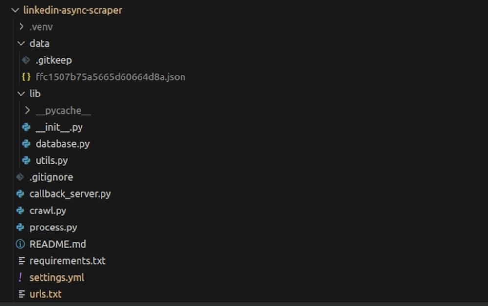 File and directory structure