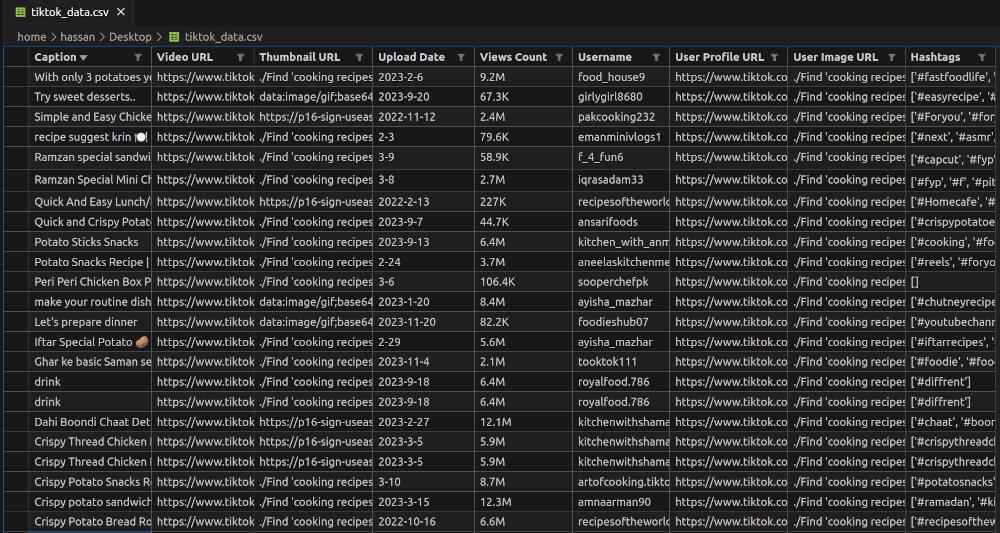 tiktok_data.csv Snapshot